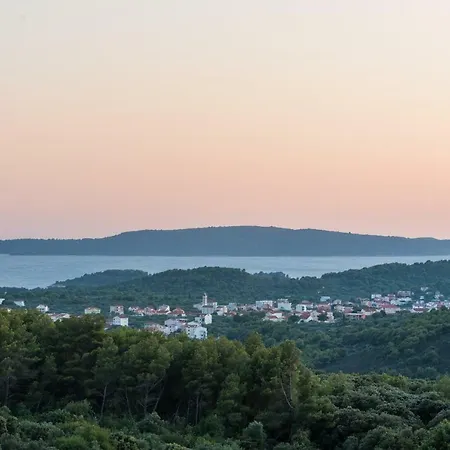 Andante * 特罗吉尔